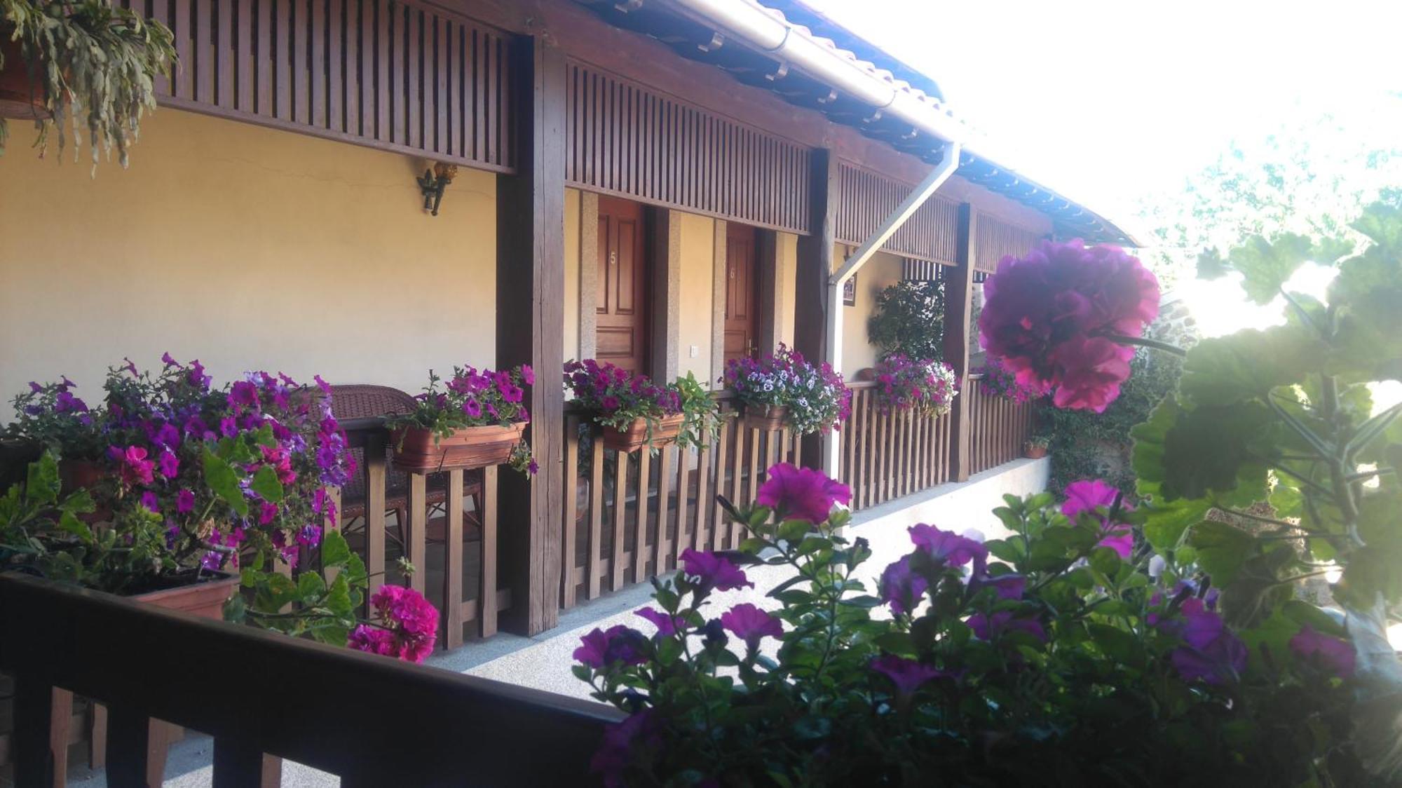 בראגה Agroturismo Quinta Dom Jose מראה חיצוני תמונה